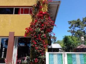 Hostel Sentir Indiano