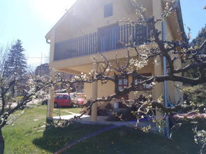 Dedinje