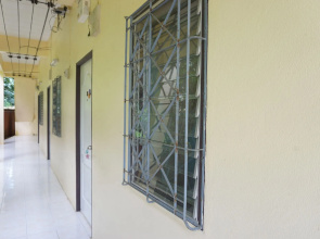 Palmy Home