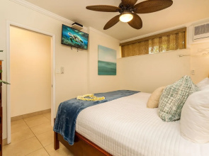 Kuleana 614 - 1Br Condo