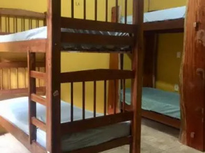 Bananas Hostel