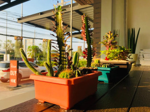 Best Bed Suvarnabhumi - Hostel