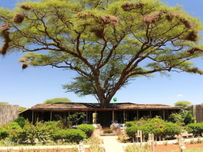 Tulia Amboseli Safari Camp