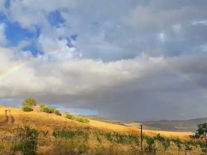 Nature Lovers Escape on an Eco-friendly Vineyard