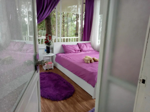 Pine Hill Homestay Dalat
