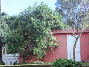 El Perenquen