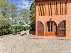 Pet-friendly Space With Pool