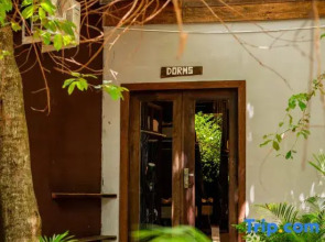 River Nest Hostel