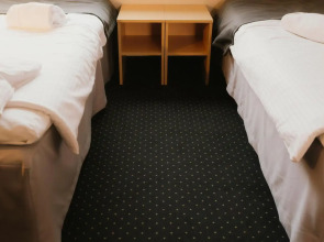 Economy Silesian Hotel