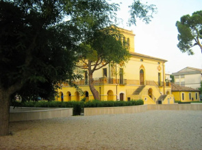 Ficus Pineto Vacanza