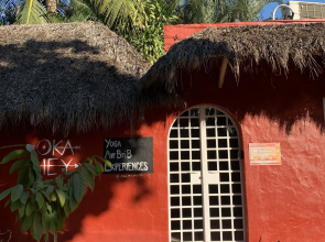 Akoma Sayulita