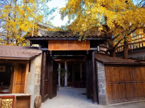 Ginkgo Village