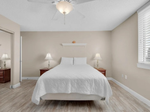 Dolphin Point #406c