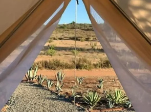 Ally Glamping