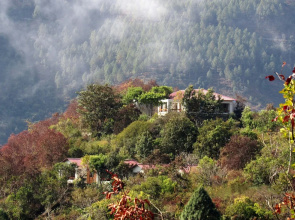 Auranya - The Himalayan jungle retreat