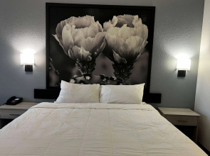 Super 8 by Wyndham Rosenberg TX
