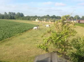 Begijnhof 13 Holiday Home