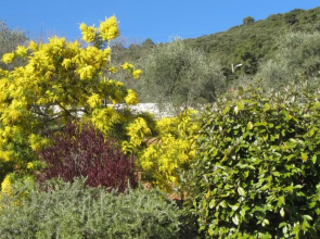 villa des oliviers