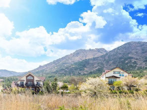 Sky Pension