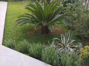 Holiday home Ruzmarin