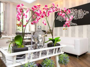 Отель Калифорния