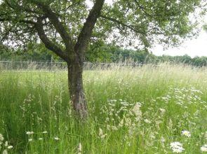 Ferienhof Olbasee