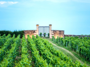 Le Chateau De Besseuil