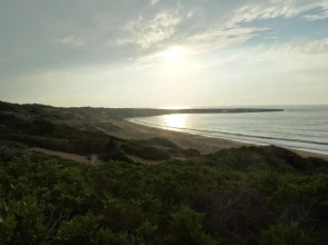 Palm Tree Oriental House and Homestay