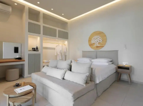 Kedros Villas Master Suite Garden View With Private Pool