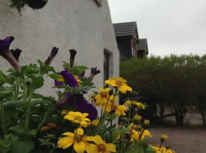 The Neuk