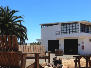 Wine country In Valle de Guadalupe