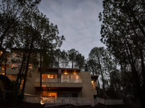 Jungle Lodge Resort