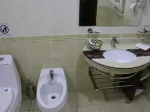 Отель Zargaron Plaza