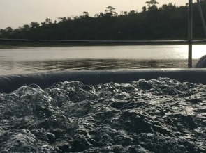 The Float