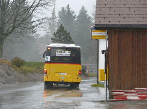 Kulturfrachter Alpenhof