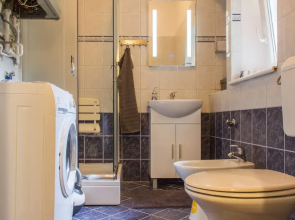 Studio Apartment Vuksa