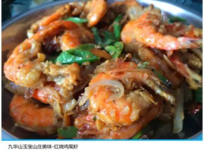 Chizhou Jiuhuashan Xinyuelanting Inn