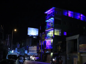 Kandy City Monkey