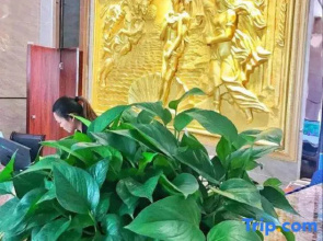 Rongxian Wanxuan Hotel
