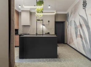 Modern Apartment lviv