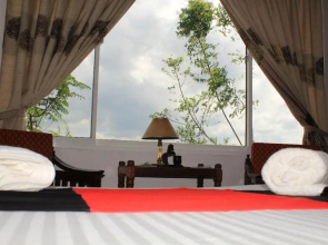 47 Alfred House - No 50/4