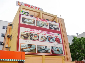 Treebo Empire Executive, Hinjewadi