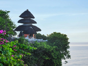 Hally-bali