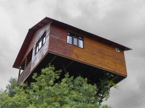Casita Del Arbol Trini By GEstores