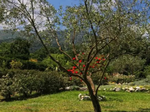 Villa Levanda