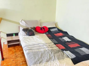 Apartament Ultracentral