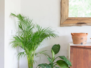 Casa Marisol 2BR Tulum Spirit - Attha Cenote