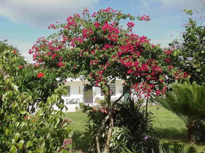 Great Escape and Breakfast Inn