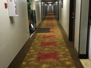 Super 8 Motel - Becker