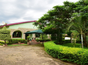The 244 Guest Houses